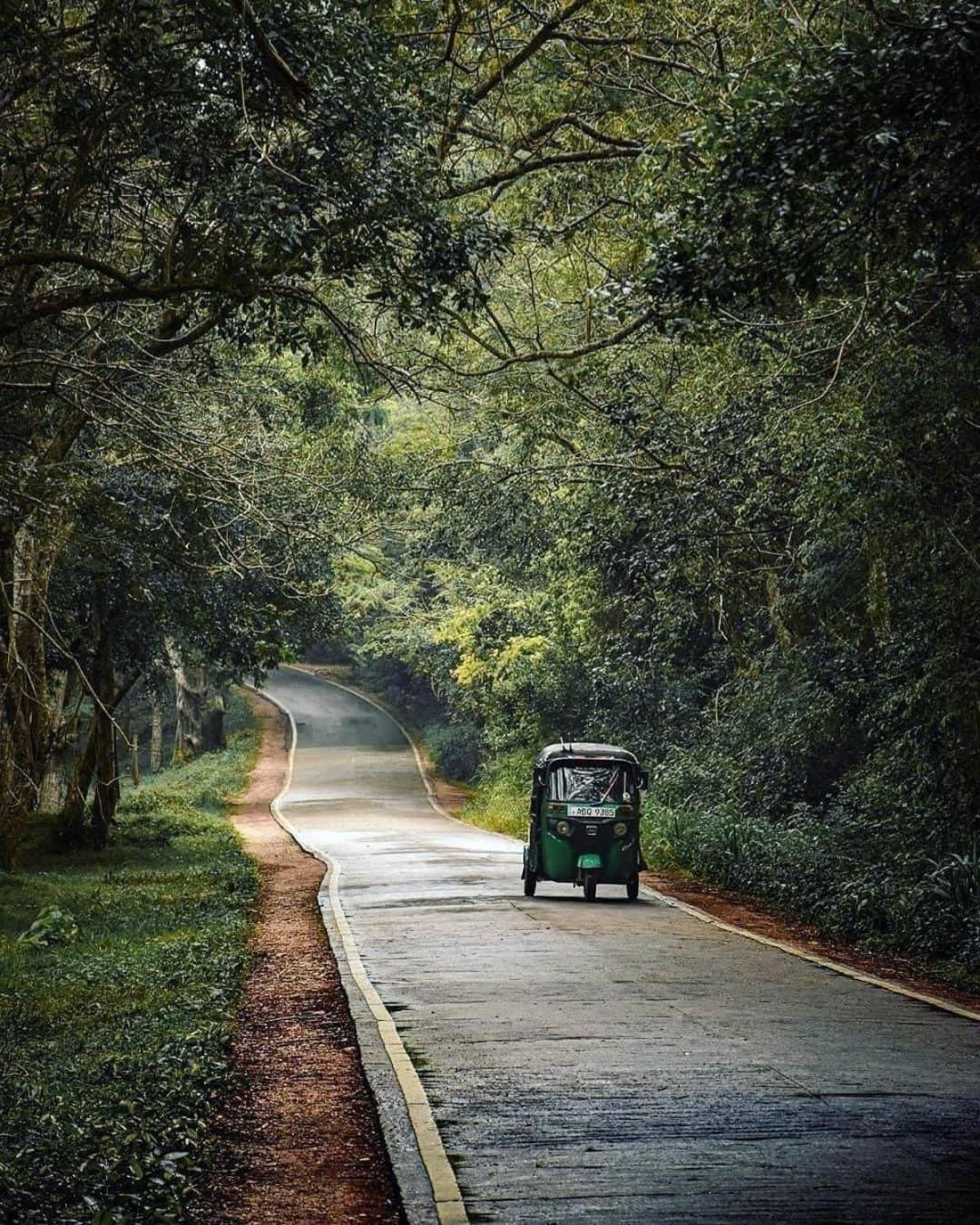 Sigiriya Village Home Stay エクステリア 写真