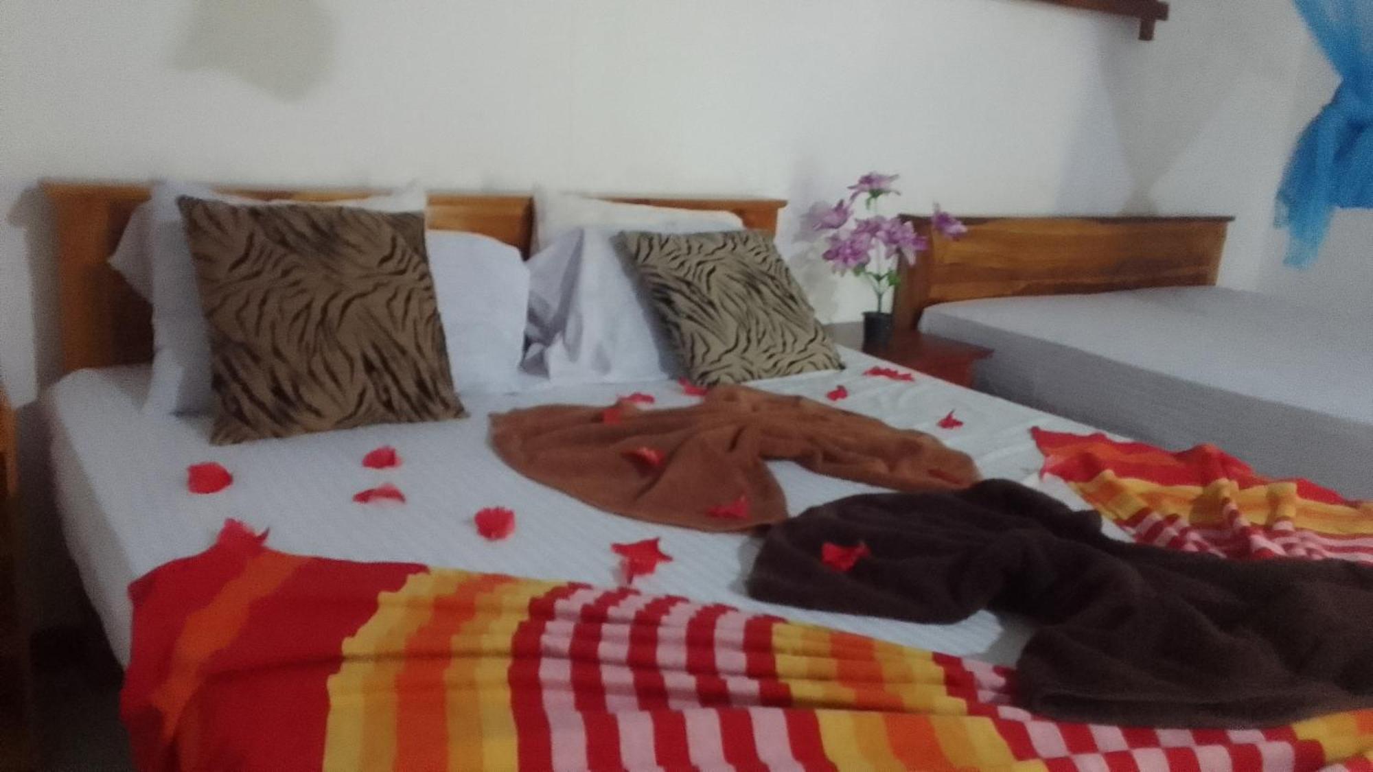 Sigiriya Village Home Stay エクステリア 写真
