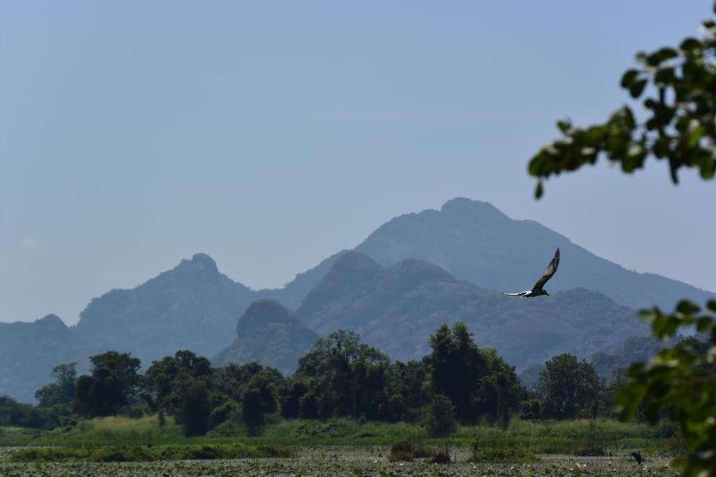 Sigiriya Village Home Stay エクステリア 写真
