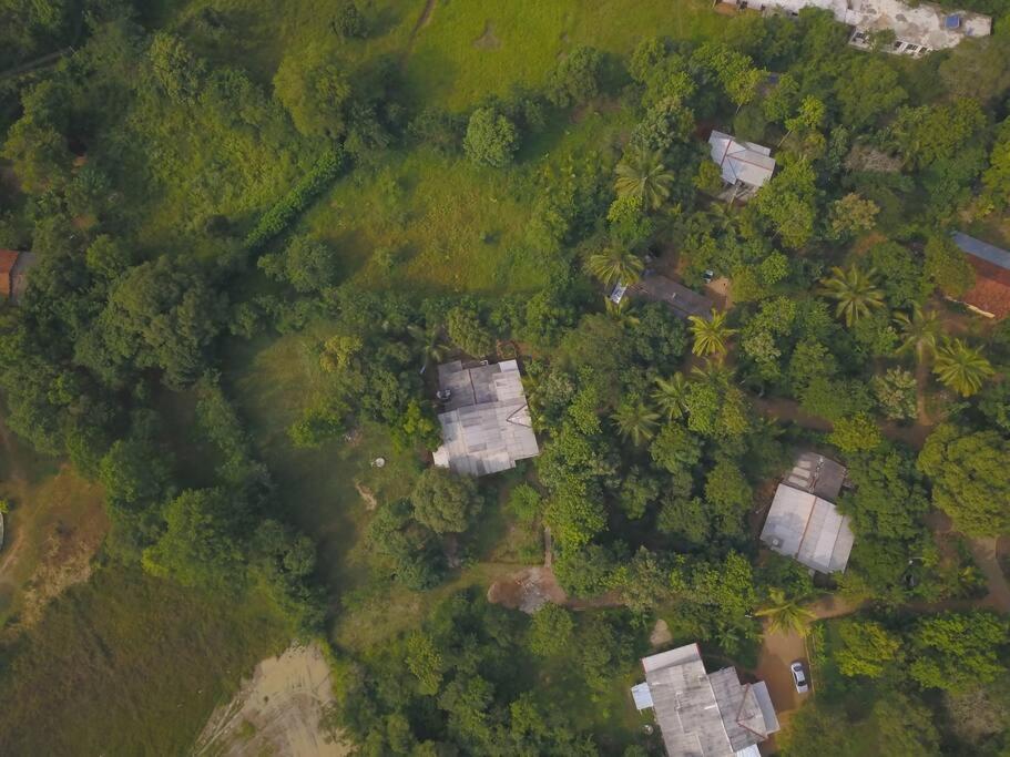 Sigiriya Village Home Stay エクステリア 写真