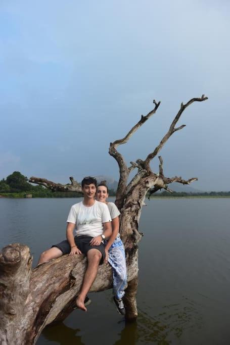 Sigiriya Village Home Stay エクステリア 写真